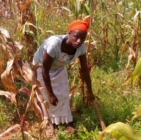 Felicia farming - Women for Women International